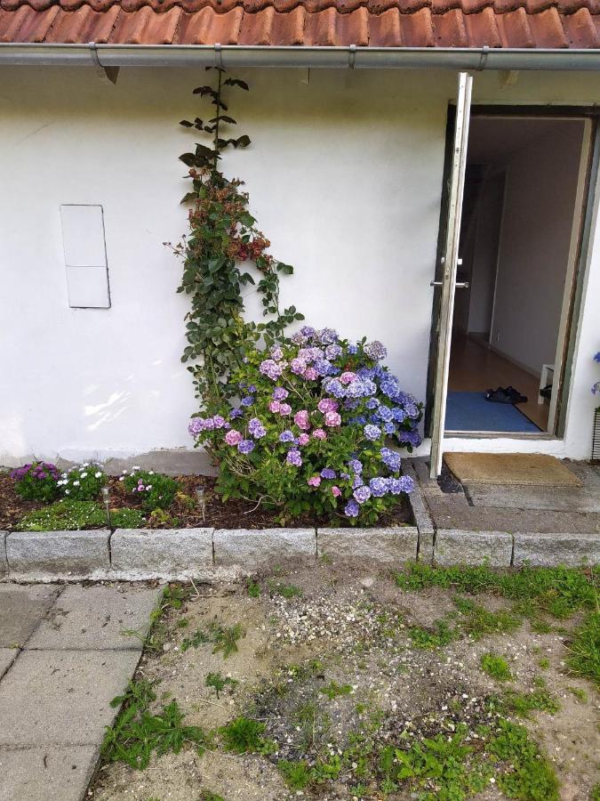 Skovhusets B&B I Gislev Экстерьер фото